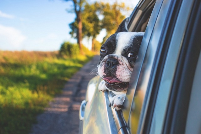 voyage en voiture