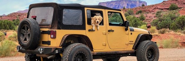 Préparer un voyage en voiture avec son chien